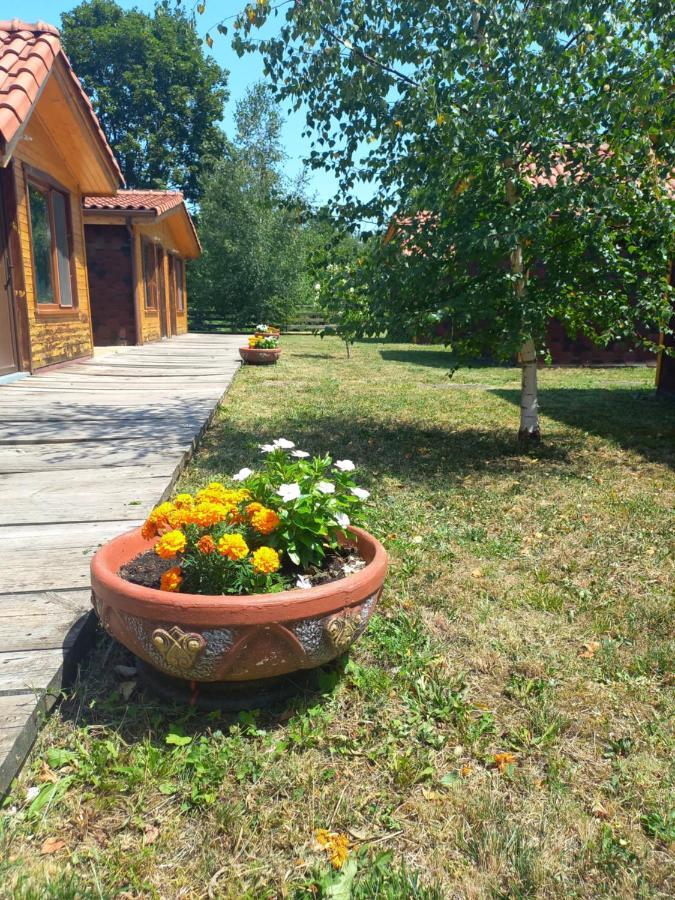 Вилно Селище Мировец Maluk Izvor  エクステリア 写真